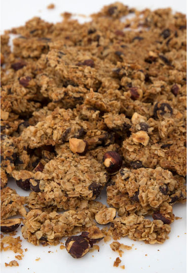 Phil's Granola Organic Granola Oats Hazelicious Choco 500gr