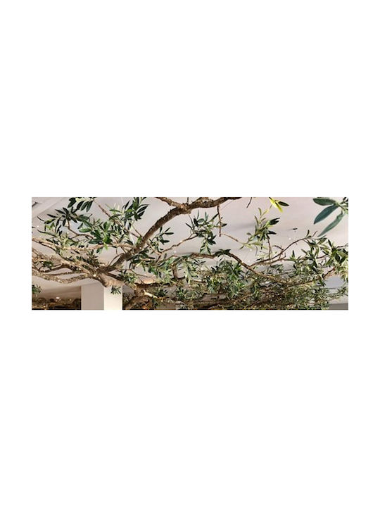 Artificial Decorative Branch Olive 260cm 1pcs