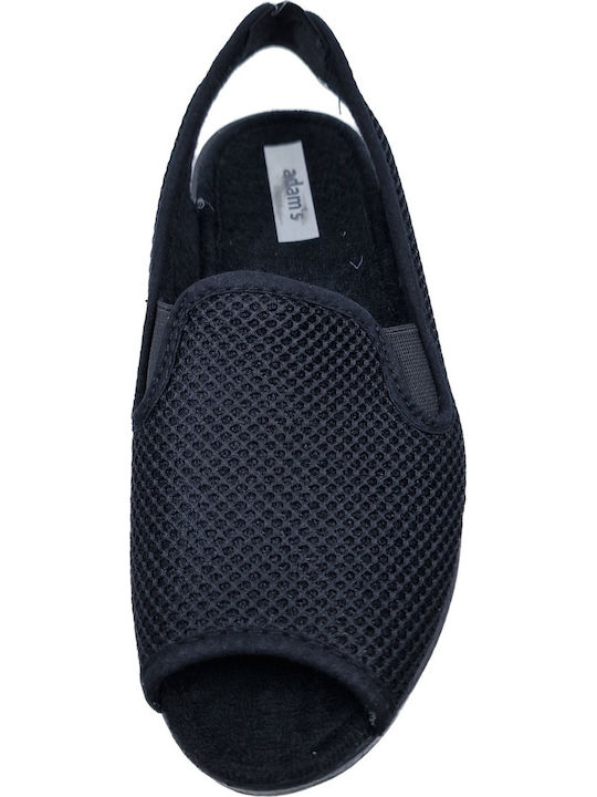 Adam's Shoes