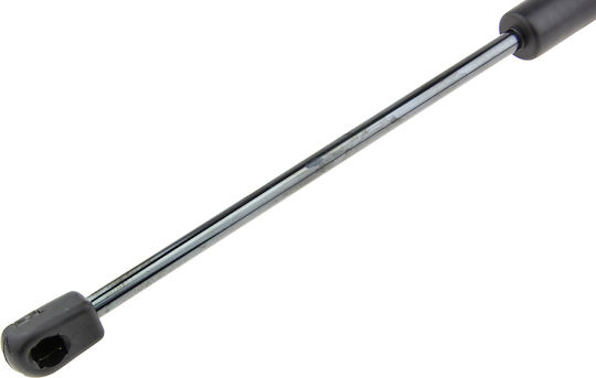 NTY Trunk Shock for Ford Focus