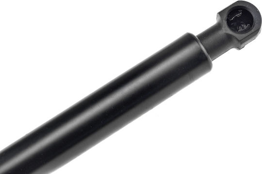 NTY Trunk Shock for Audi A4