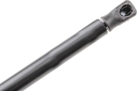 NTY Kofferraum-Schock für Seat Leon