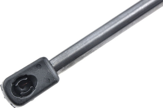 NTY Kofferraum-Schock für Renault Online-Shop