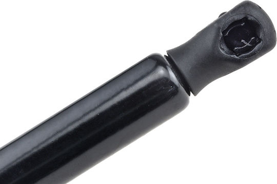NTY Kofferraum-Schock für Renault Online-Shop
