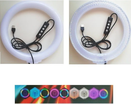 3D-26 03004 RGB 50CL RGB Ring Light 26cm with Mobile Phone Holder
