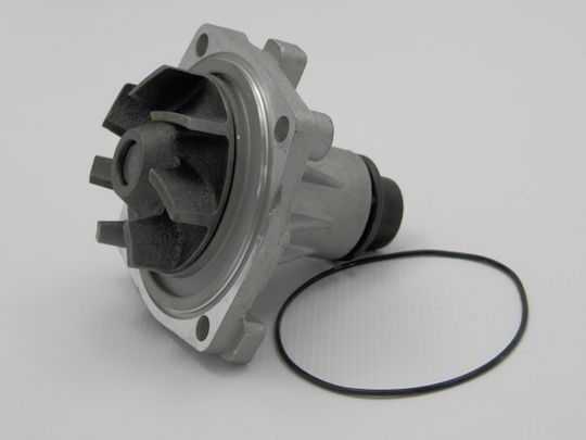 NTY Car Water Pump for Chrysler Voyager Ford Scorpio