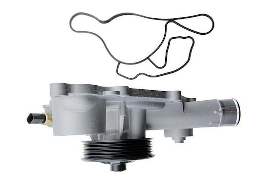 NTY Auto-Wasserpumpe für Chrysler 300C Jeep Großer Cherokee Dodge Ladegerät / Durango
