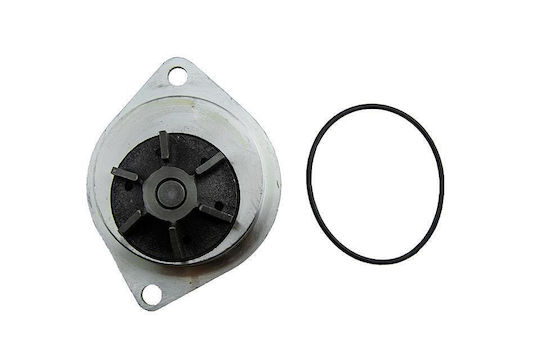 NTY Car Water Pump for Peugeot 106 / 205 / 206 / 306 / 307 / 308 / 405 / Partner Citroen AX / BX / C15 / Saxo / Xsara / Xsara Picasso / ZX Nissan Micra