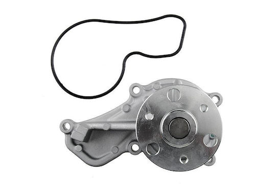 NTY Car Water Pump for Honda Accord / Civic / CR-V