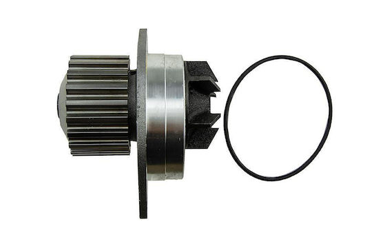 NTY Car Water Pump for Peugeot 106 / 205 / 206 / 306 / 307 / 308 / 405 / Partner Citroen AX / BX / C15 / Saxo / Xsara / Xsara Picasso / ZX Nissan Micra