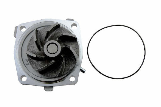 NTY Car Water Pump for Opel Frontera Fiat Cinquecento / Panda / Seicento Suzuki Baleno / X-90 Mercedes-Benz SL Renault Clio / Kangoo / Megane / Scenic / Thalia Mitsubishi Carisma / Space Gear / L400 BMW X3 Kia Carnival Chrysler Grand Voyager / Voyager Nissan Cabstar / PickUp / Serena / Trade / Vanette Ford B-Max / C-Max / EcoSport / Fiesta / Focus / Grand C-Max / Mondeo / Scorpio / Tourneo Connect / Grand Tourneo / Tourneo Courier / Transit Connect / Transit Courier Jeep Cherokee / Grand Cherokee Dacia Logan / Logan MCV / Logan Pick-Up / Sandero CPW-CH-008