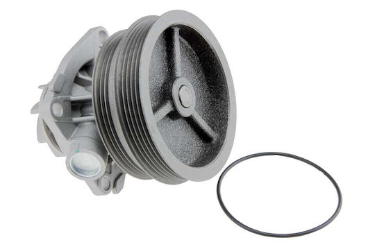 NTY Car Water Pump for Fiat Brava / Bravo / Doblo / Marea / Multipla / Palio / Siena / Stilo Lancia Dedra / Delta / Lybra