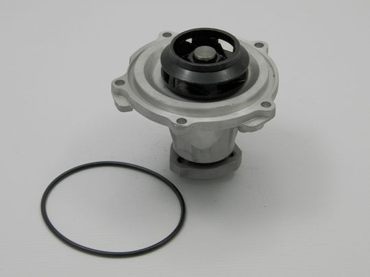 NTY Auto-Wasserpumpe für Opel Astra / Kombi / Corsa / Grenze / Vectra Fiat Ducato / Panda / Talento Suzuki Ignis / Jimny / Spritzer / Swift / Vitara Renault Clio / Kangoo / Megane / Malerei / Thalia Citroen C5 Mini Cabrio Seat Arosa Skoda Felicia Volkswagen Golf / Einkaufswagen / Wolf / Passat / Polo Audi A4 / A6 Nissan Abholung Ford Galaxie Jeep Großer Cherokee Dacia Logan / Logan MCV / Logan Abholung / Sandero Daewoo Kalos / Lanos / Nexia