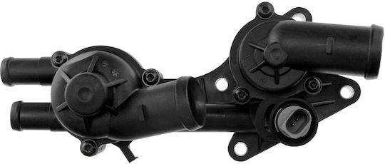 NTY Car Thermostat