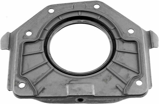 NTY Oil Seals Crankshaft Seal Car 1pcs