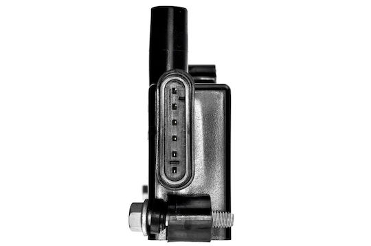 NTY Car Ignition Coil for Fiat 500 / Doblo / Fiorino / Grande Punto / Idea / Linea / Palio / Panda / Punto / Punto Evo / Qubo Ford Ka Alfa Romeo Mito Lancia Musa / Ypsilon