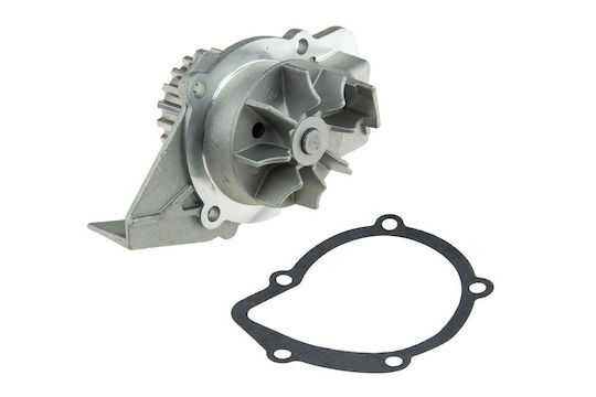 NTY Car Water Pump for Peugeot 206 / 306 / 307 / 406 / 607 / 806 / 807 / Boxer / Expert / Partner Fiat Ducato / Scudo / Ulysse Suzuki Grand Vitara Toyota Corolla Citroen Berlingo / C15 / C5 / C8 / Evasion / Jumper / Jumpy / Xantia / Xsara / Xsara Picasso Lancia Phedra / Zeta