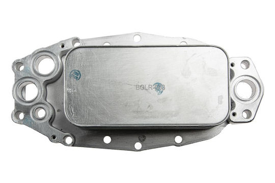 NTY Ψυγείο Λαδιού Αυτοκινήτου για Renault Coupe Citroen C5 / C6 Hyundai Coupe Land Rover Range Rover / Range Rover Sport / Discovery