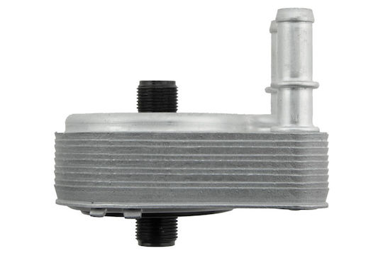 NTY Car Oil Radiator for Fiat Punto / Doblo / Palio