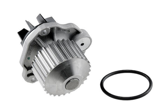 NTY Car Water Pump for Peugeot 406 / 607 Fiat Ulysse Renault Avantime / Clio / Laguna Lancia Phedra