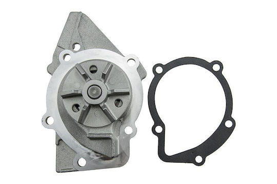 NTY Car Water Pump for Peugeot 205 / 306 / 309 / 405 / 406 / 806 / Expert / Partner Fiat 126 / Cinquecento / Ulysse Citroen Berlingo / BX / Evasion / Xantia / Xsara / ZX