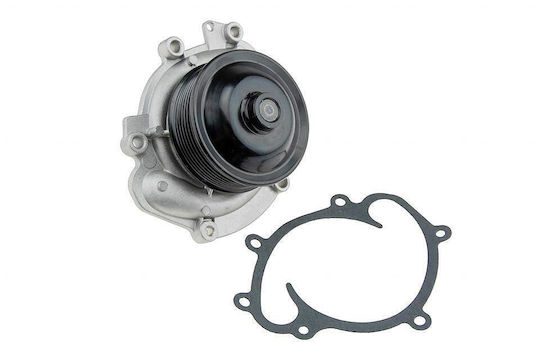 NTY Auto-Wasserpumpe für Mercedes-Benz Sprinter / Viano / Vito Mini Cabrio Chrysler 300C Jeep Kommandant / Großer Cherokee