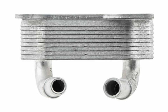 NTY Autokühler für Mercedes-Benz E-Commerce-Website Ford Schwerpunkt / Galaxie / Mondeo