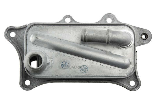 NTY Ψυγείο Λαδιού Αυτοκινήτου για Audi A4 / A5 / A6 / A7 / A8 / Q7 / S4 / S5