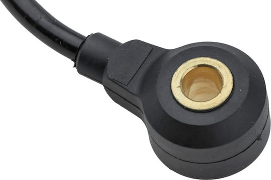 NTY Klopfsensor Autokühler für Toyota Auris / Korolla