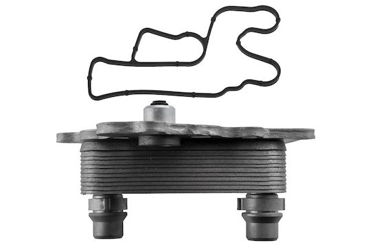 NTY Car Engine Oil Radiator for Fiat Tipo / Doblo / Bravo / 500L / 500X Alfa Romeo Giulietta