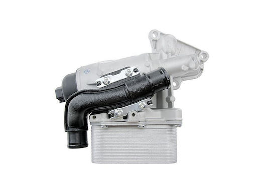 NTY Car Oil Radiator for Opel Movano / Vivaro Renault Alaskan / Master / Trafic Nissan NV400