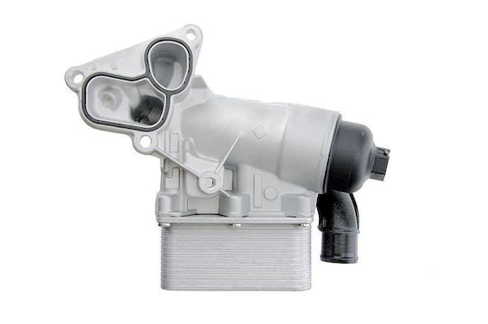 NTY Car Oil Radiator for Opel Movano / Vivaro Renault Alaskan / Master / Trafic Nissan NV400