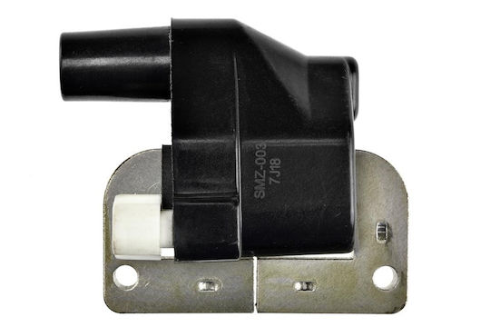 NTY Zündspulen für Autos für Ford Ranger Mazda 323 / MX-3