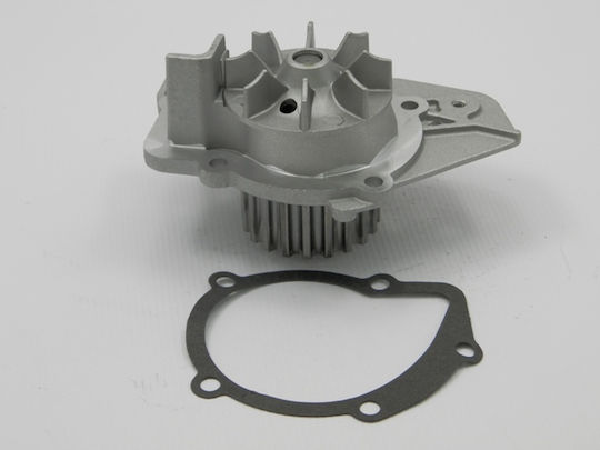 NTY Car Water Pump for Peugeot 205 / 305 / 306 / 309 / 405 / 406 / 605 / 806 / Boxer / Expert / J5 / Partner Fiat Ducato / Scudo / Ulysse Citroen Berlingo / BX / C15 / Evasion / Jumper / Jumpy / Visa / Xantia / XM / ZX Mini Cabrio Smart ForTwo Land Rover Defender Lancia Zeta