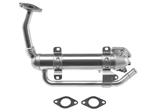 NTY Car EGR Radiator for Seat Altea Skoda Fabia / Superb Volkswagen Caddy / Eos / Golf Plus / Golf / Passat / Polo / Touran Audi A3
