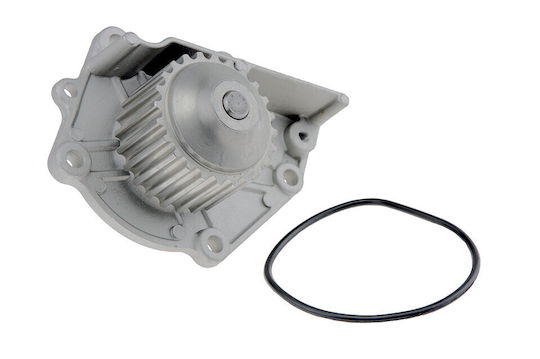 NTY Pompa de apă auto pentru Land Rover Freelander