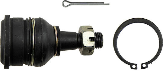 NTY Kugelgelenke für Nissan Almera / Sonnenreich ZSD-NS-010
