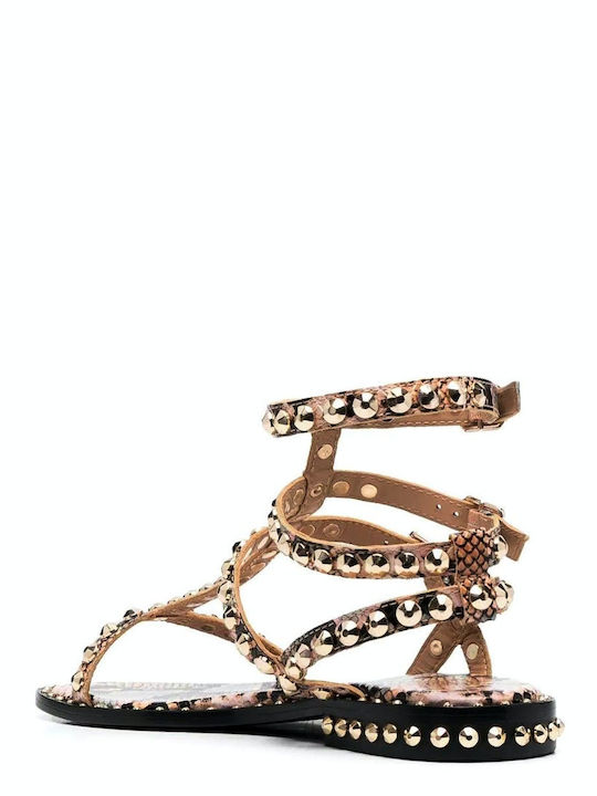 Deri Damen Gladiator Sandalen Beige