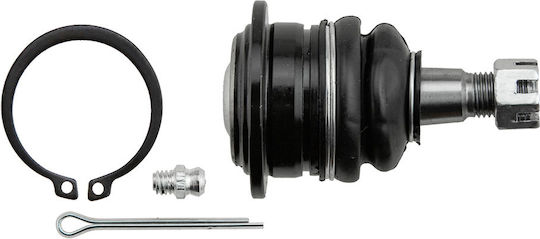 NTY Kugelgelenke für Lexus GX / LX Toyota Online-Handelsseite / Land Cruiser / Sequoia / Tundra ZSG-TY-016