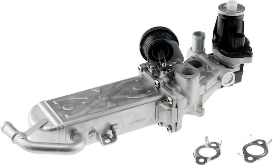 NTY Вентил EGR Кола за Seat Altea / Leon Skoda Octavia / Superb / Yeti Volkswagen Beetle / Caddy / Eos / Golf Plus / Golf / Jetta / Passat / Passat CC / Scirocco / Sharan / Tiguan / Touran Audi A3 / Q3 / TT
