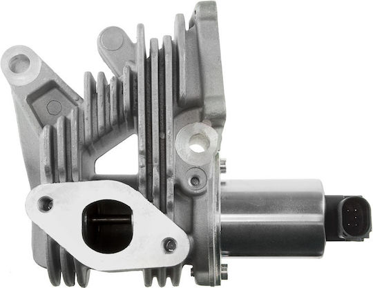 NTY Car EGR valve για Renault Grand Scenic / Laguna / Megane / Scenic