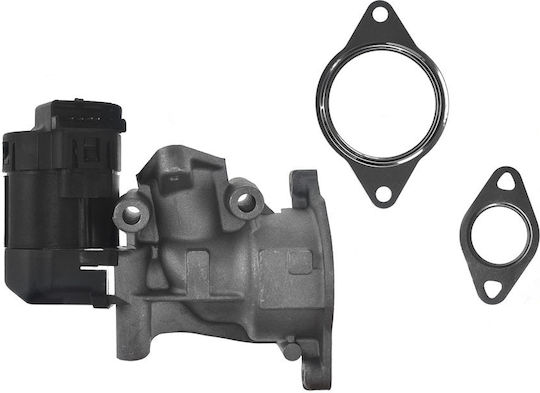NTY Вентил EGR Кола за Peugeot 307 / 308 / 407 / 508 / 607 / 807 / Expert / Expert Tepee Fiat Scudo / Ulysse Citroen C4 / C4 Grand Picasso / C4 Picasso / C5 / C8 / Jumpy Volvo C30 / C70 / S40 / S80 / V50 / V70 Ford C-Max / Focus C-Max / Focus / Galaxy / Kuga / Mondeo / S-Max Alfa Romeo Mito Lancia Phedra