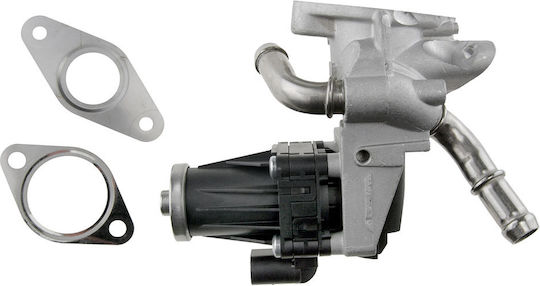 NTY Вентил EGR Кола за Peugeot Boxer Citroen Jumper Volkswagen Up Ford Ranger / Tourneo Custom / Transit / Transit Custom / Tourneo Land Rover Defender