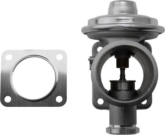 NTY AGR-Ventil Auto Engine Ventile für BMW X5