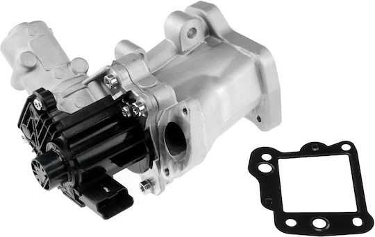 NTY Вентил EGR Кола за Peugeot 4007 / 407 / 607 / 807 Fiat Ulysse Mitsubishi Outlander Citroen C-Crosser / C5 / C6 / C8 Ford Galaxy / Mondeo / S-Max Land Rover Discovery Sport / Freelander / Range Rover Evoque Lancia Phedra