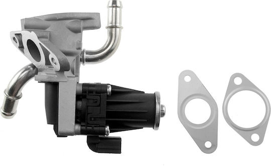 NTY Car EGR valve για Ford Transit / Tourneo