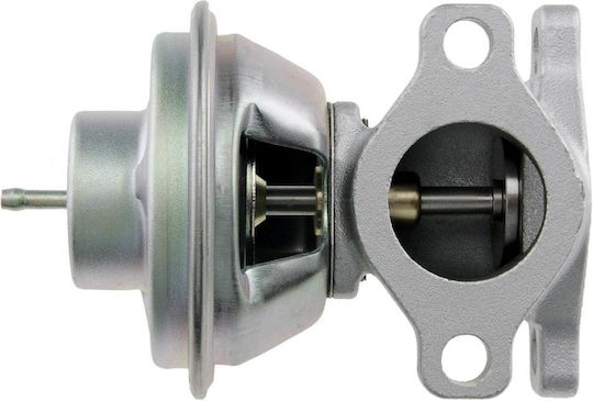 NTY Car EGR valve για Peugeot Boxer Fiat Ducato Citroen Jumper