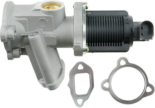 NTY Car EGR valve για Opel Agila / Combo / Corsa / Meriva / Tigra Fiat 500 / Doblo / Fiorino / Grande Punto / Idea / Palio / Panda / Punto / Punto Evo / Qubo / Siena Suzuki Ignis / Swift / Wagon R+ Lancia Musa / Ypsilon