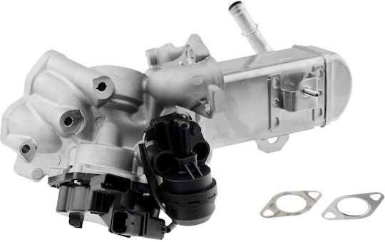 NTY Вентил EGR Кола за Peugeot 3008 / 308 / 407 / 5008 / 508 / 807 / Expert / Expert Tepee / RCZ Citroen C4 Grand Picasso / C4 / C4 Picasso / C5 / C8 / DS4 / DS5 / Jumpy Ford Focus / Galaxy / Grand C-Max / Kuga / Mondeo / S-Max