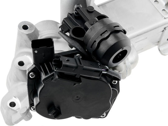 NTY Вентил EGR Кола за Peugeot 3008 / 308 / 407 / 5008 / 508 / 807 / Expert / Expert Tepee / RCZ Citroen C4 Grand Picasso / C4 / C4 Picasso / C5 / C8 / DS4 / DS5 / Jumpy Ford Focus / Galaxy / Grand C-Max / Kuga / Mondeo / S-Max